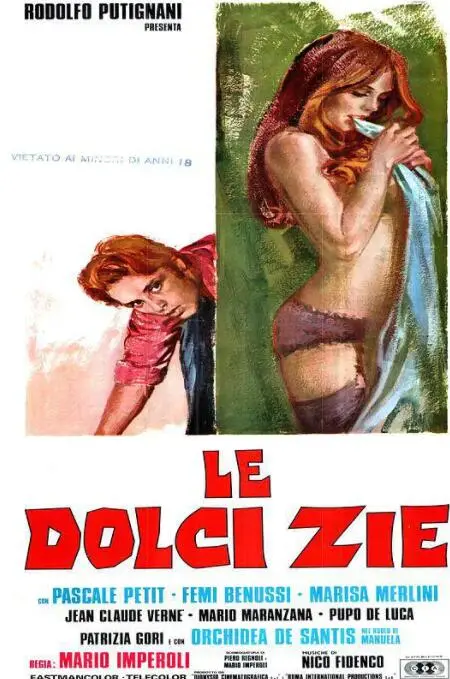 《三个姑妈一个侄》：爆笑家庭喜剧，看麻将桌上的姑妈们如何智斗单身侄子！