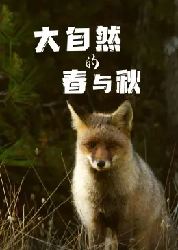 《大自然的春与秋》绝美上映！这部零台词神作，为何让无数CP粉头哭到肝肠寸断？